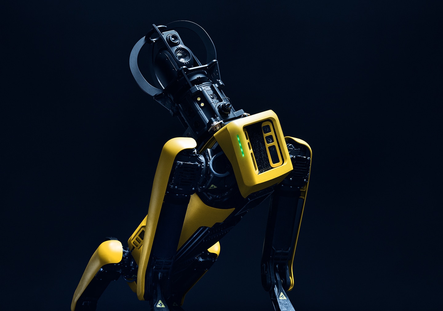 Boston dynamics